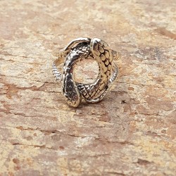 Bague Cercle Serpent en argent 925.