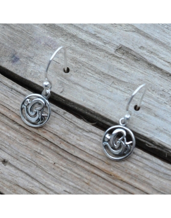 Boucles d ' oreilles argent .